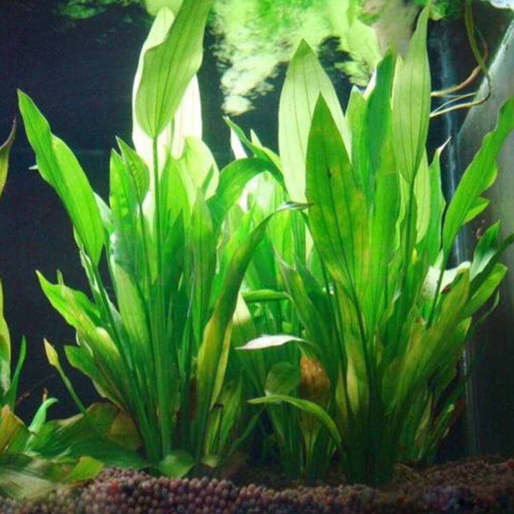 Aquarium Plant Grass - 15cm sztuczne akwarium rośliny dekoracyjne ozdobne