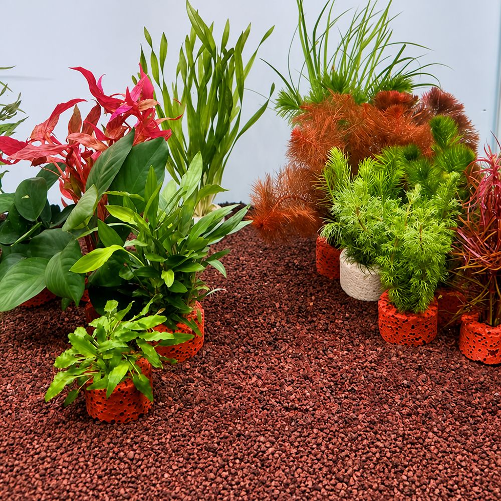 Planted Aquarium Pictures - 10 szt. Obciążone pierścienie do mocowania
