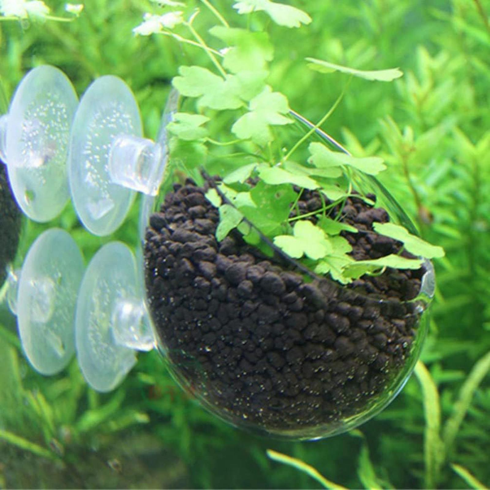 Szklany uchwyt na rośliny akwa – Aquarium Plant Gel recenzja i cena