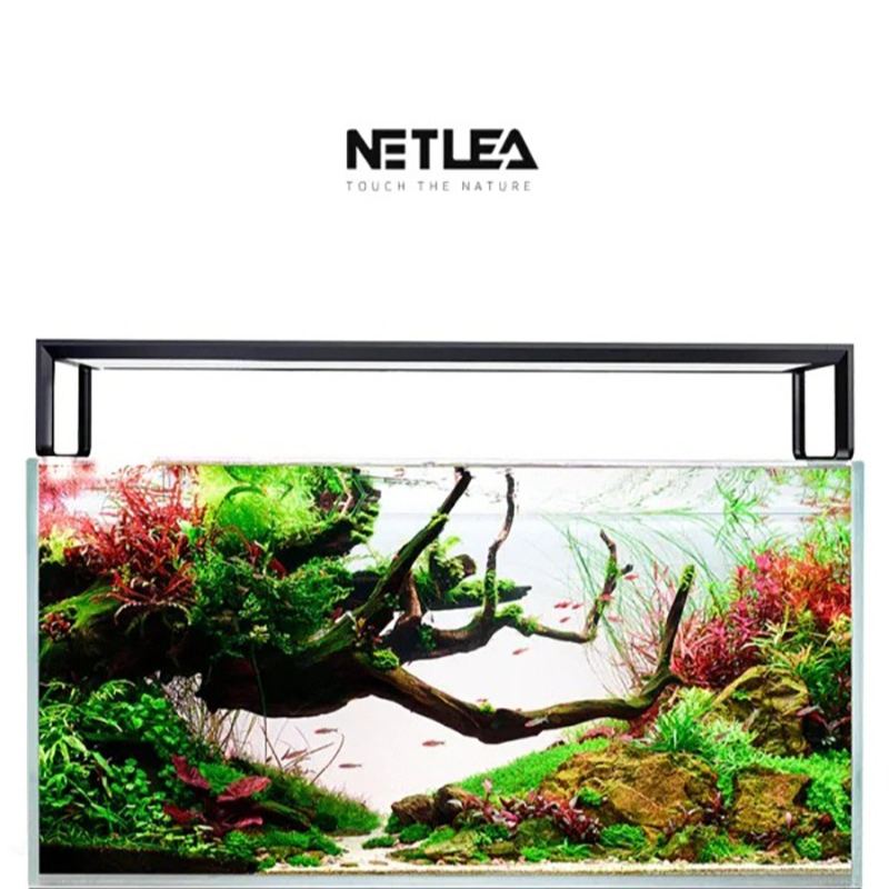 Netlea AT5S V4 Inteligentne Oś – Aquarium Plant Order recenzja i cena
