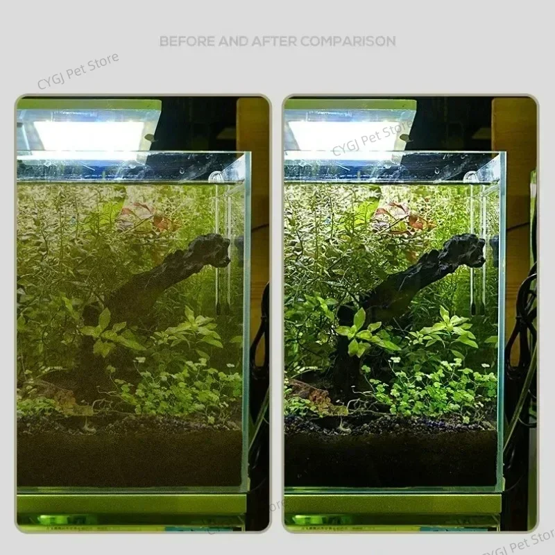 Narzędzie do czyszczenia akwar – Planted Aquarium Kit recenzja i cena