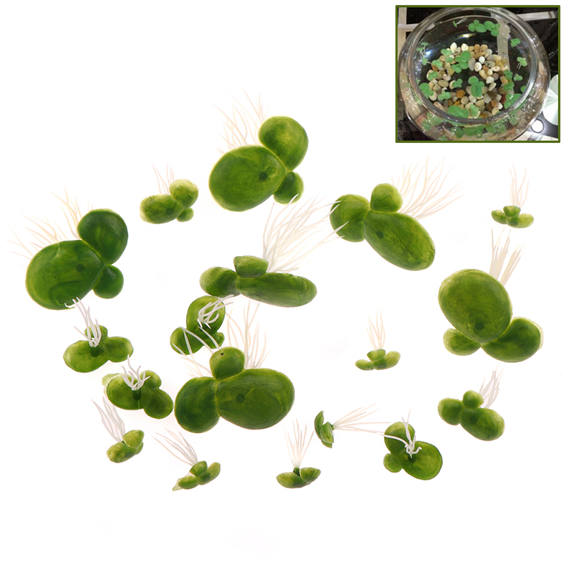 18 szt./zestaw akwarium dekora – Aquarium Plant Roots recenzja i cena