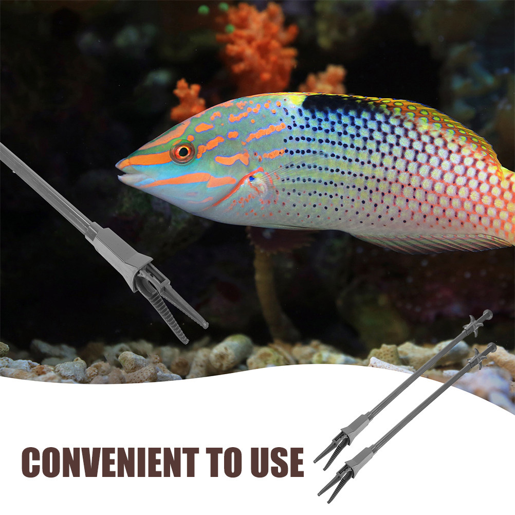 2 sztuki – plastikowe pęsety d – Planted Aquarium Tips recenzja i cena