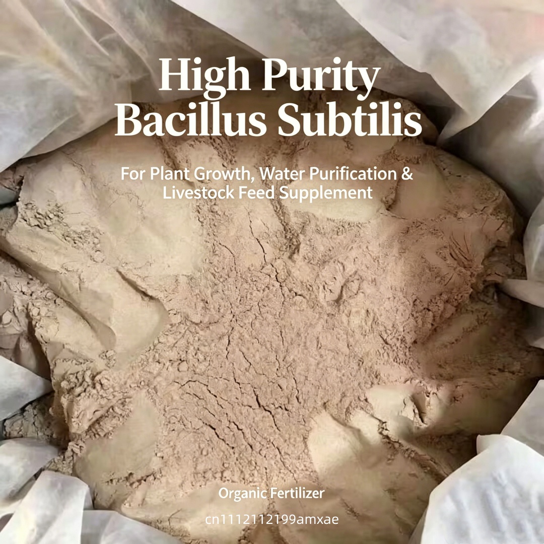 Wysokoaktywny proszek Bacillus – Aquarium Plant Roots recenzja i cena