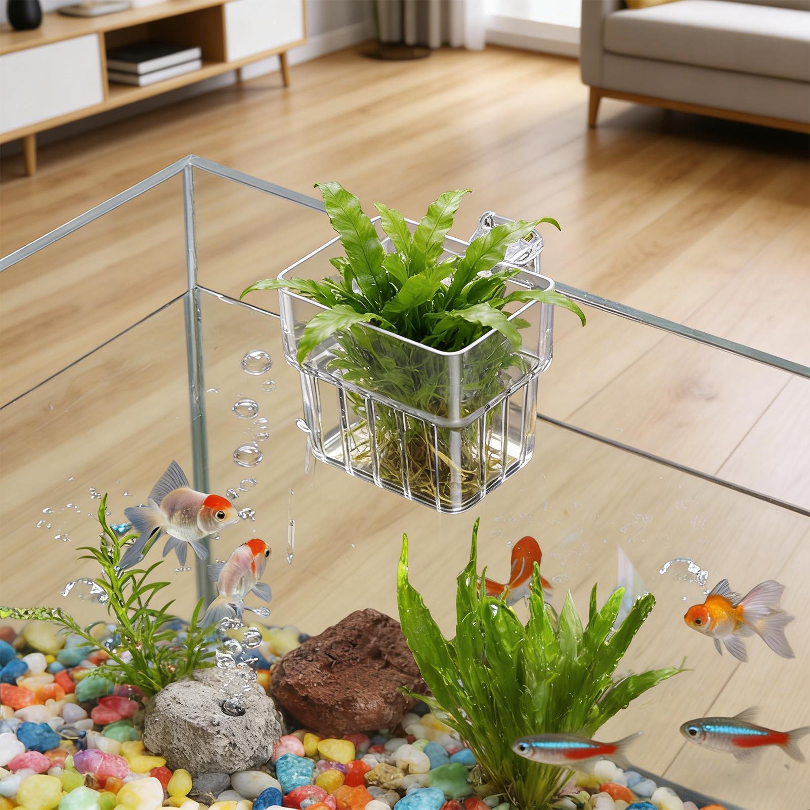 Przezroczysty wiszący pojemnik – Planted Aquarium Kit recenzja i cena