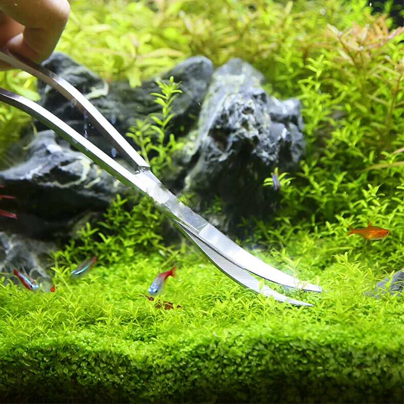 Nożyce do akwarium Pęseta do a – Planted Aquarium Kit recenzja i cena