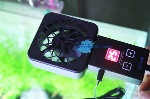 Mini nano clip powiesić na czu – Aquarium Plant Order recenzja i cena