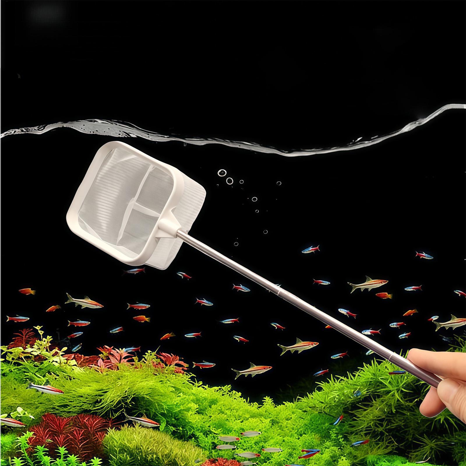 Wysuwana siatka do czyszczenia – Aquarium Plant Roots recenzja i cena
