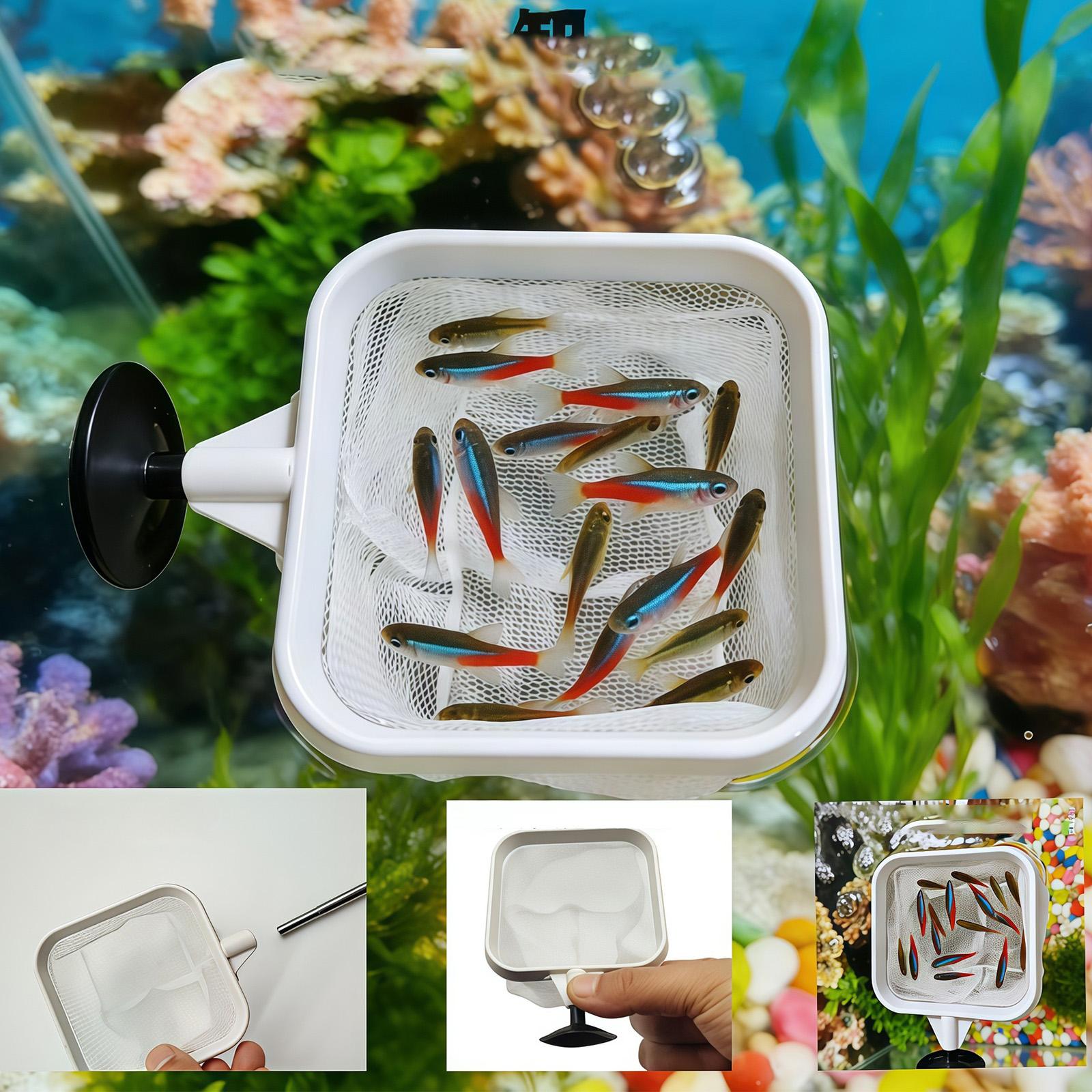 Wysuwana siatka do czyszczenia – Aquarium Plant Roots recenzja i cena
