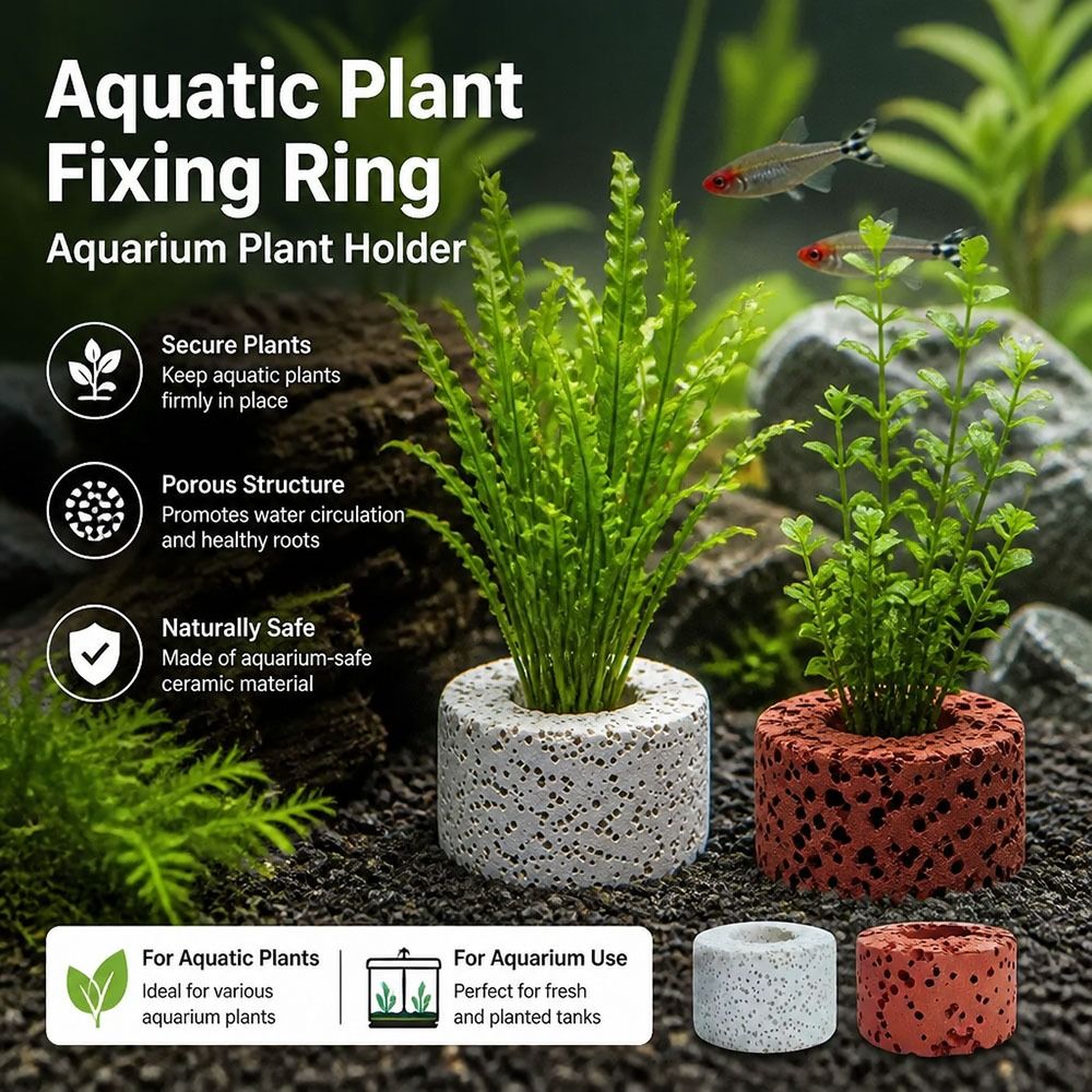 10 szt. Obciążone pierścienie  – Planted Aquarium Pictures recenzja i cena