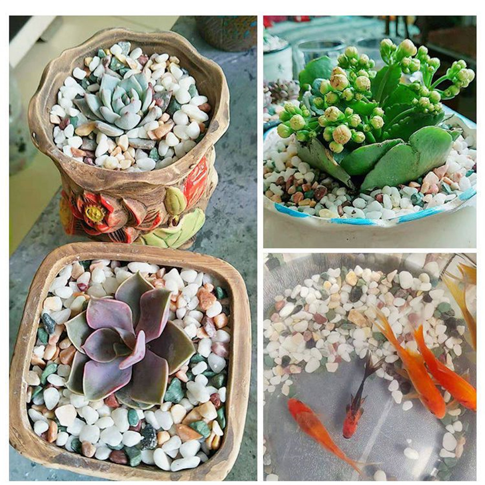 100g Naturalny Żwir Kryształko – Aquarium Plant Gravel recenzja i cena