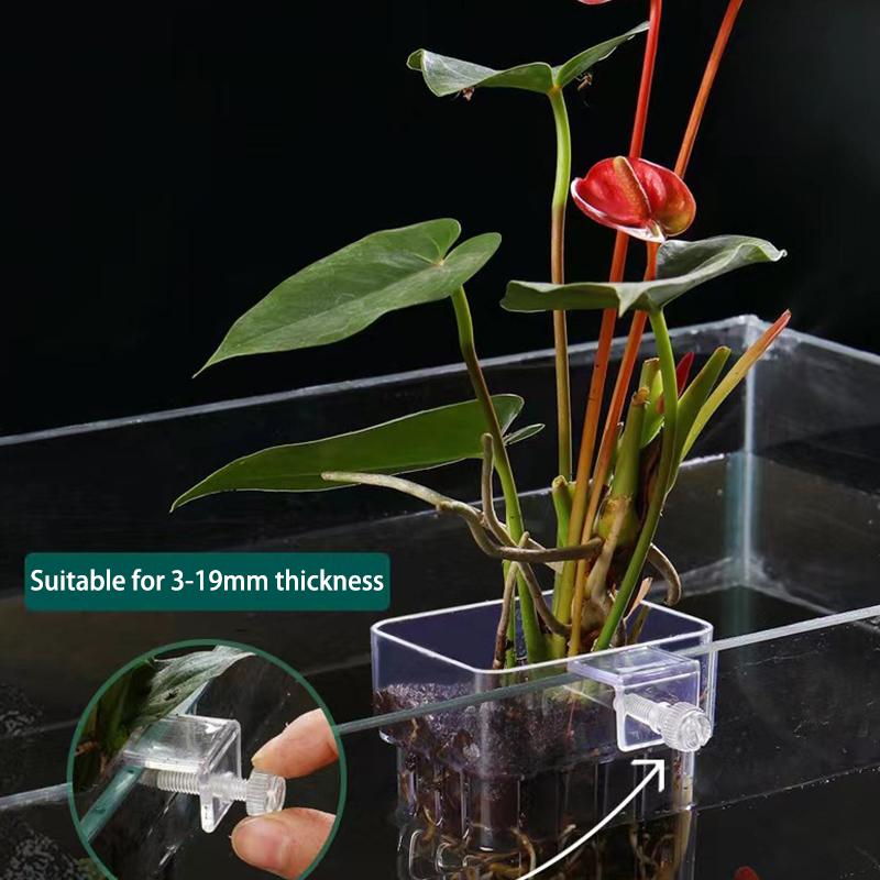 Wielofunkcyjny akwarium dla ry – Aquarium Plant Grass recenzja i cena
