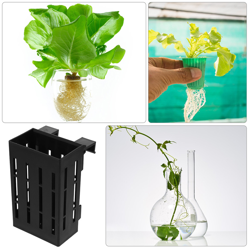 6 sztuk – wytrzymałe kosze do  – Aquarium Plant Roots recenzja i cena