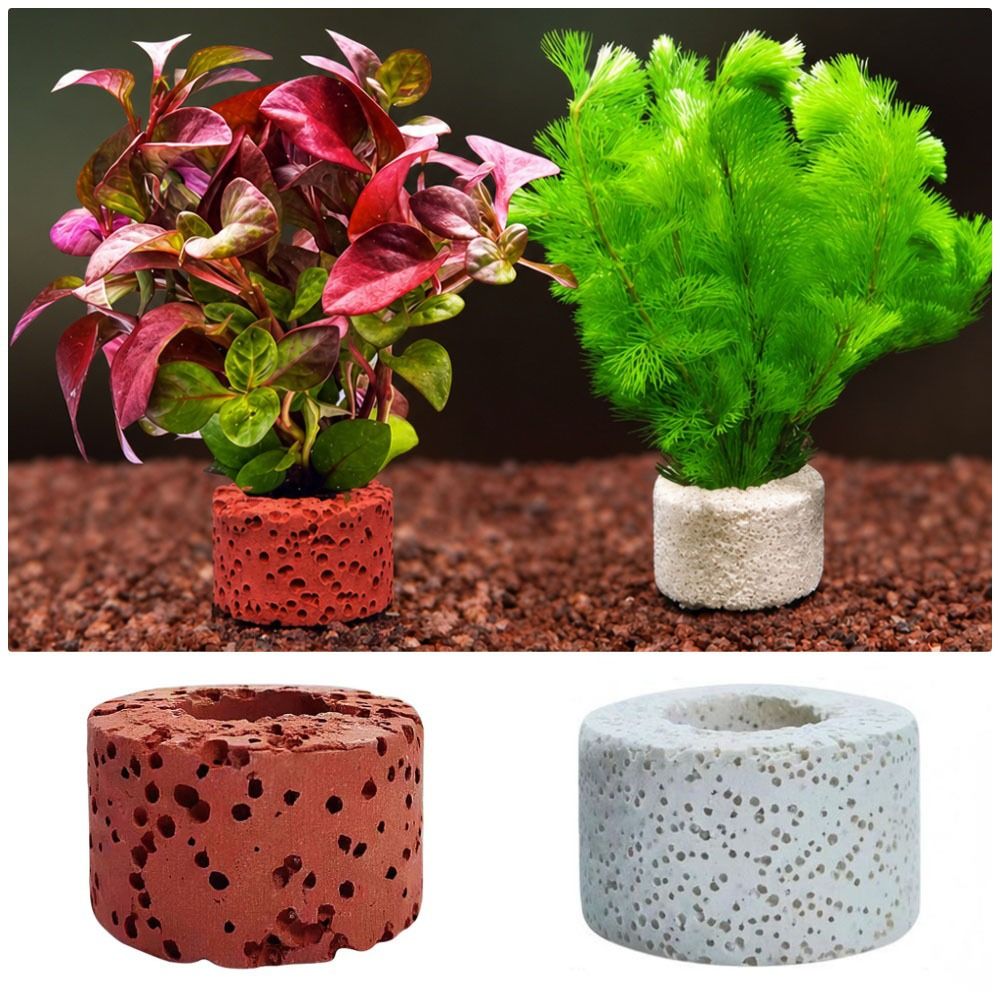 10 szt. Obciążone pierścienie  – Planted Aquarium Pictures recenzja i cena