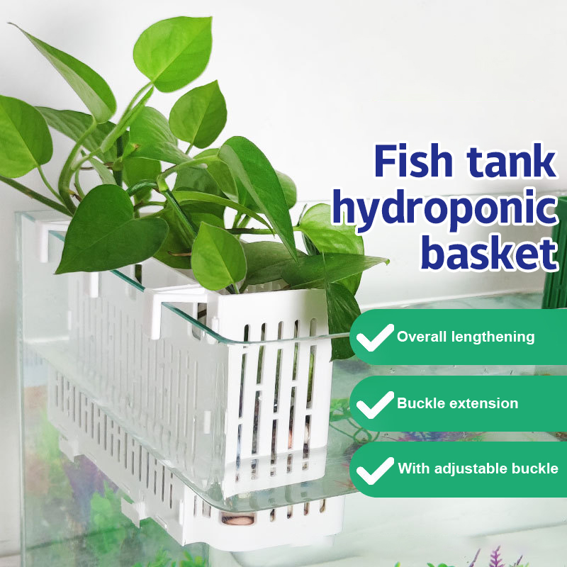 【F】Wiszący pojemnik do akwariu – Aquarium Plant Order recenzja i cena