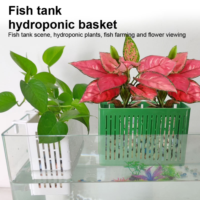 【F】Wiszący pojemnik do akwariu – Aquarium Plant Order recenzja i cena