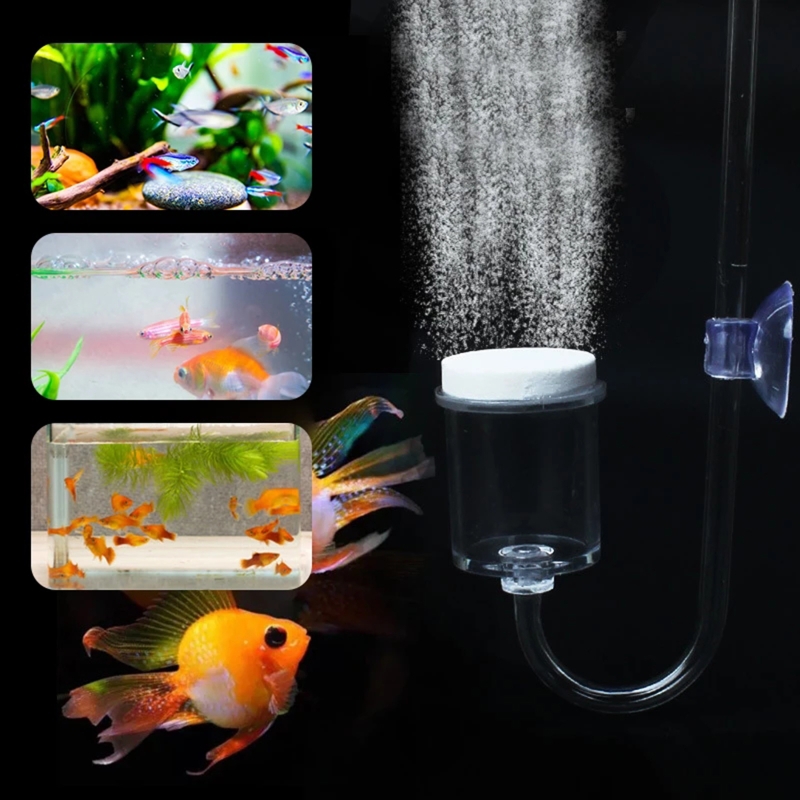 4szt Zestaw DIY Dyfuzor CO2 do – Aquarium Plant Gel recenzja i cena